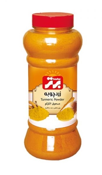 برتر زردچوبه 600 گرم نمکپاش بزرگ پت6 عددی