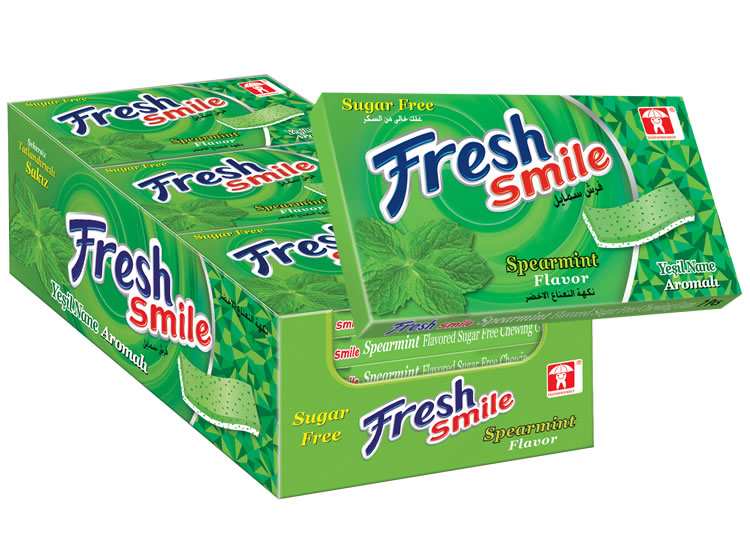 Fresh آدامس بدون شکر نعنا 24عددی