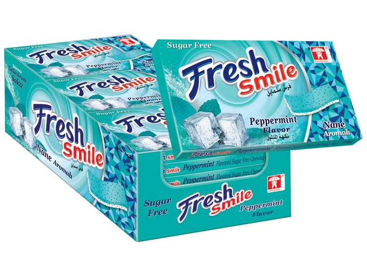 Fresh آدامس بدون شکر یخی24 عددی