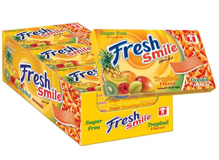 Fresh آدامس بدون شکر استوایی24عددی