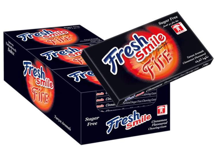 Fresh آدامس بدون شکر دارچین24عددی