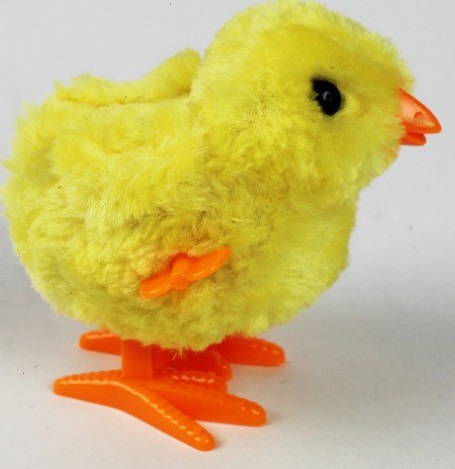 جوجه کوکی خارجی 12 عددی